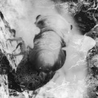 Glass Age - separateness