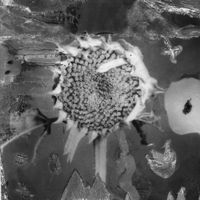 Glass Age - (a)merican [i]dle