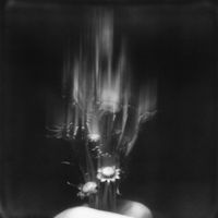 Glass Age - metamorphosis