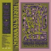 Teenage Cenobite - Rules To Break
