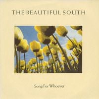 The Beautiful South - Song For Whoever