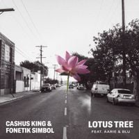 Cashus King - Lotus Tree