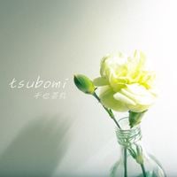 千也茶丸 [Senya Chamaru] - tsubomi