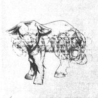 Wiring - Like a Porcelain Lamb