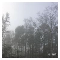 Various Artists - In The Deep Drift You Will Find The Most Serene of Lullabies