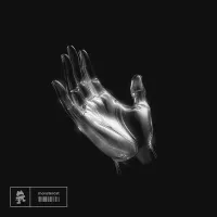 Whales - Wish