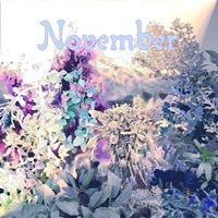 Ceschi - November