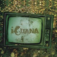 Iguana - Venezia
