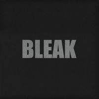 Blue Sabbath Black Cheer - Bleak