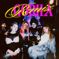 TRANSNOCHADAS - Gorila Remix
