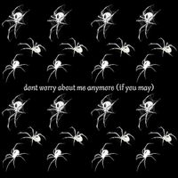 Yung Vylcin - don&rsquo;t worry about me anymore (if you may..)