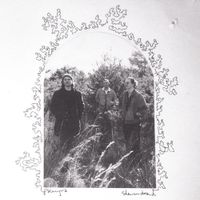 Palmyra - Shenandoah