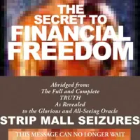 Strip Mall Seizures - Secret to Financial Freedom