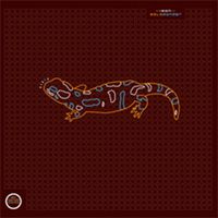 ISAN - Salamander