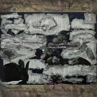 After Tomorrow - Lets Take The Long Way Home