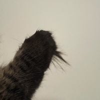The 365 Project - 176: The Sixth One