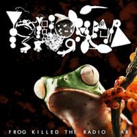 Phyllomedusa - Frog Killed The Radio Star Live At NGS! Radio