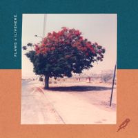 Flaws - morning might turn things around