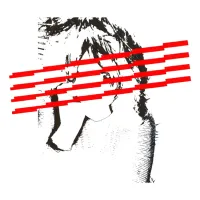 emmyBOOM - Stretch Marks