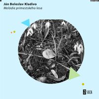 J&aacute;n Boleslav Kladivo - Mel&oacute;die pr&iacute;mestsk&eacute;ho lesa