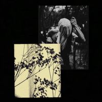 Tethered To Doubt - disavowal