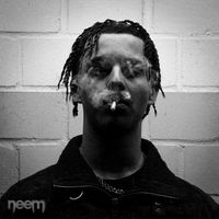 Neem - Franklin