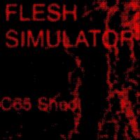 Flesh Simulator - C65 Sheol