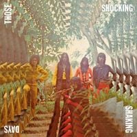 Various Artists - Those Shocking Shaking Days