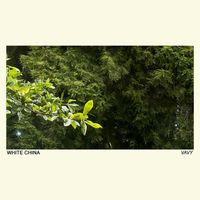 White China - vavy