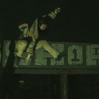 Knoir - free fall