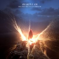 Awaken I Am - The Only Way Out Is Through