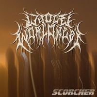 WHOLE WORLD WEPT - SCORCHER