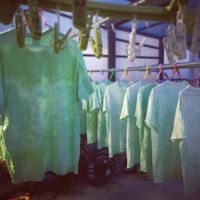 And Protector - Lime Green