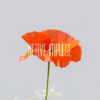 ポリスピカデリー [Police Piccadilly] - Nerve Impulse