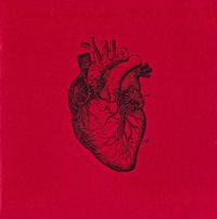 A Loud Heart - A Loud Heart
