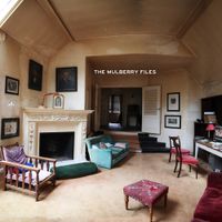 Funki Porcini - The Mulberry Files