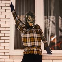 Shambles - i'm sorry