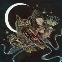 Fish in a Birdcage - Certain Birds
