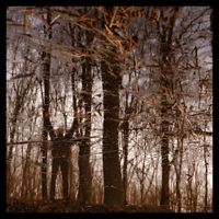 Apoptose - Bannwald