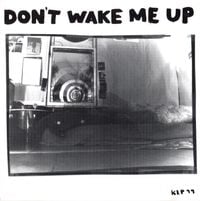 The Microphones - Don't Wake Me Up
