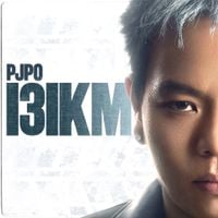 Pjpo - 131KM