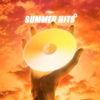 Various Artists - RAW Summer Hits 6