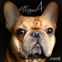 stig bink - stigma