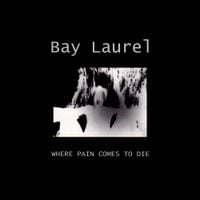 Bay Laurel - Where Pain Comes to Die