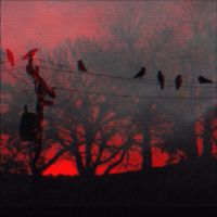 Noah23 - Blood