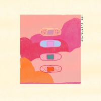 sofi frozza - 100Cicatrizes