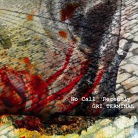 No Call 'Recently' - Gri Terminal