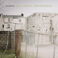 Dumhi - The Jungle