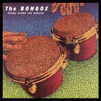 The Bongos - Drums Along the Hudson