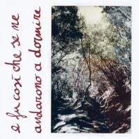 Paolo Schiamazzi - e fu cos&igrave; che se ne andarono a dormire
